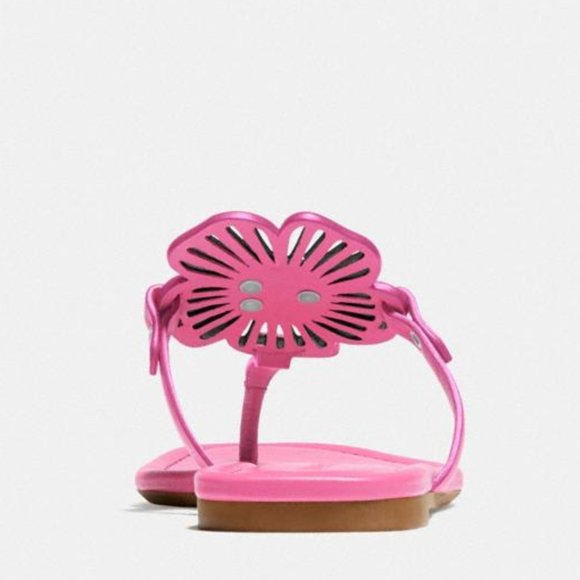 🌸 Coach JULIA SANDAL PETUNIA 6.5 7 🌺 - Picture 4 of 11